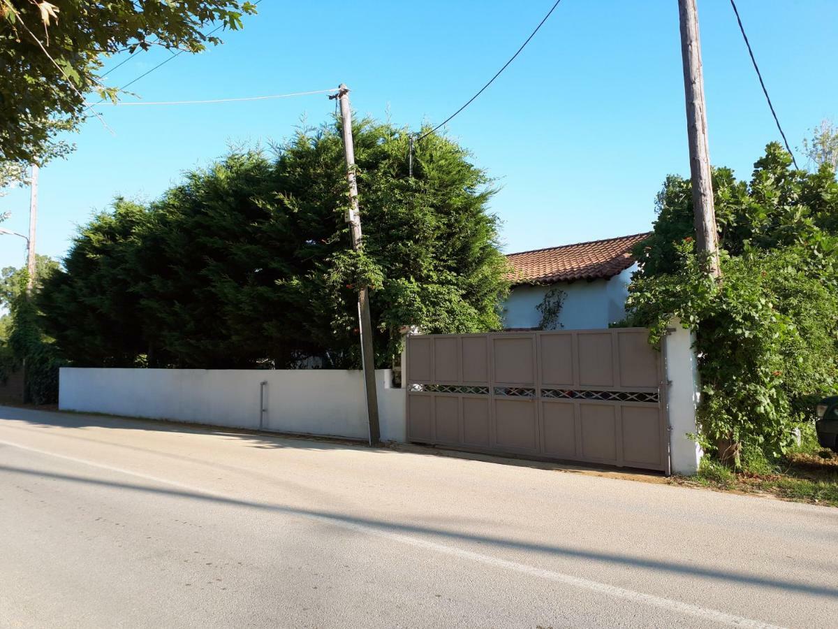 Ckiathi - Ckiaθi - Ps Rental Ajía Paraszkeví Kültér fotó